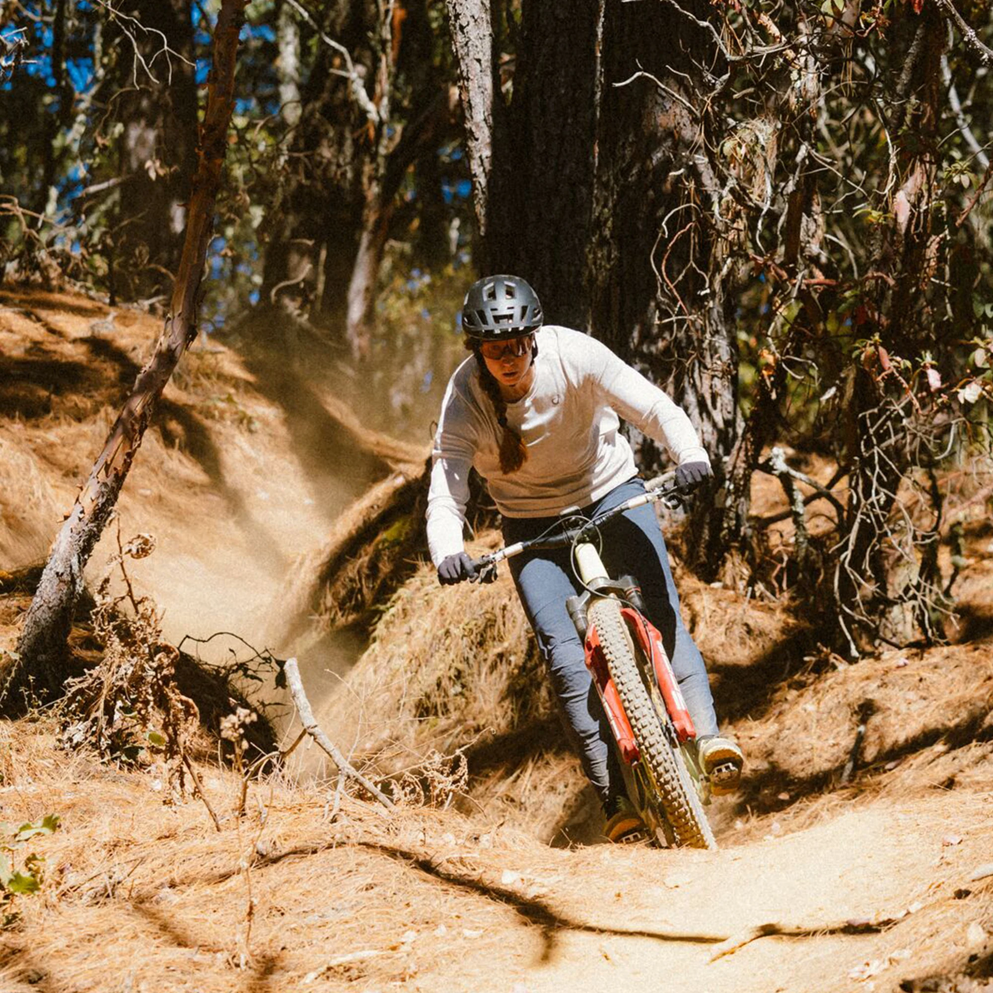 Bobcat - Image 7